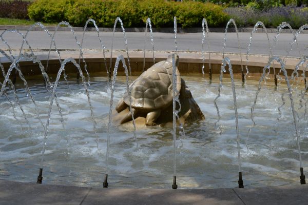 Békás Szökőkút - 2