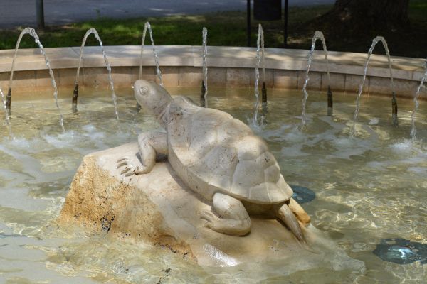 Békás Szökőkút - 5